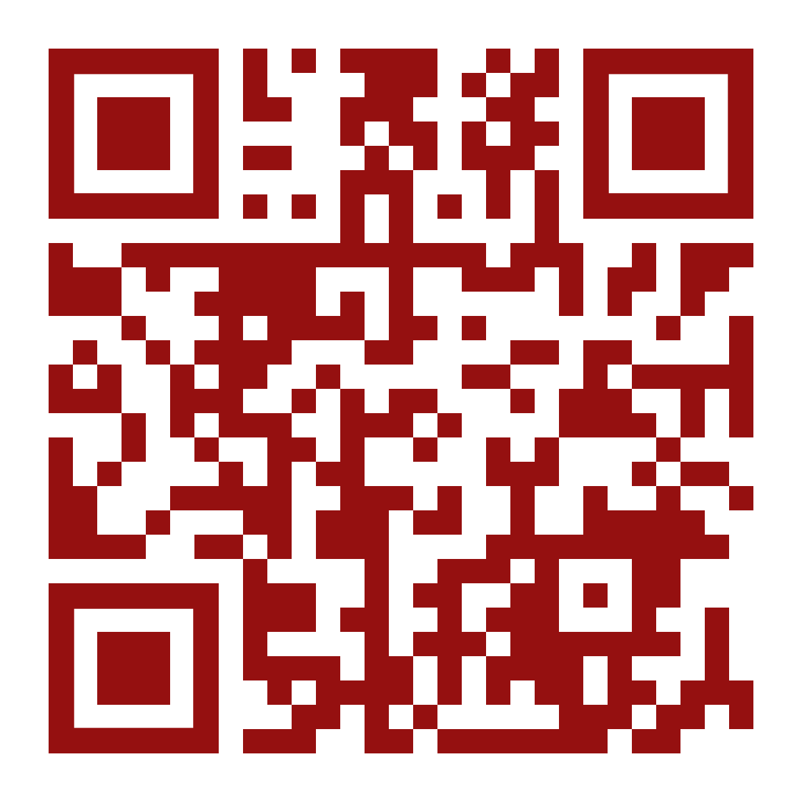RaffleDash QR Code